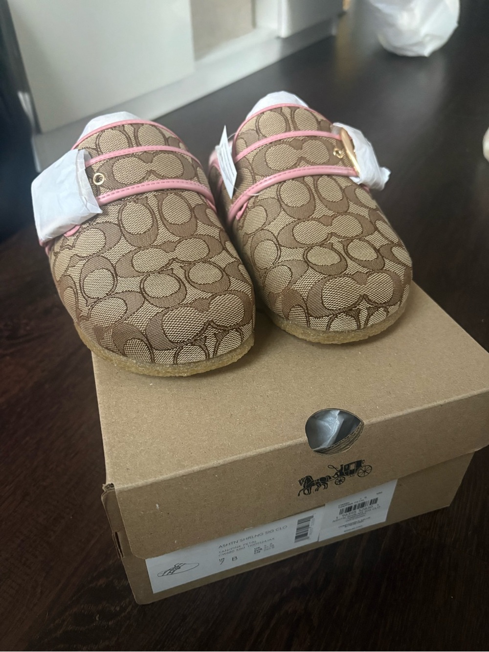 Coach slides - Picture 2 of 2